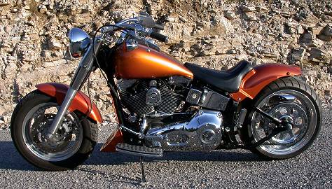 Harley Davidson FLSTF Vulcanus