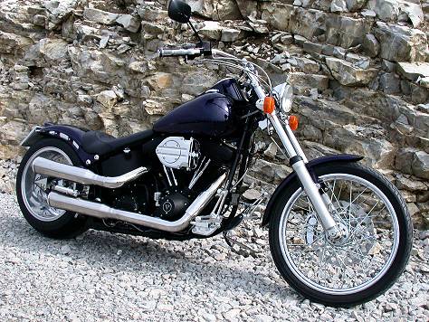 Harley Davidson FXST Shaitan